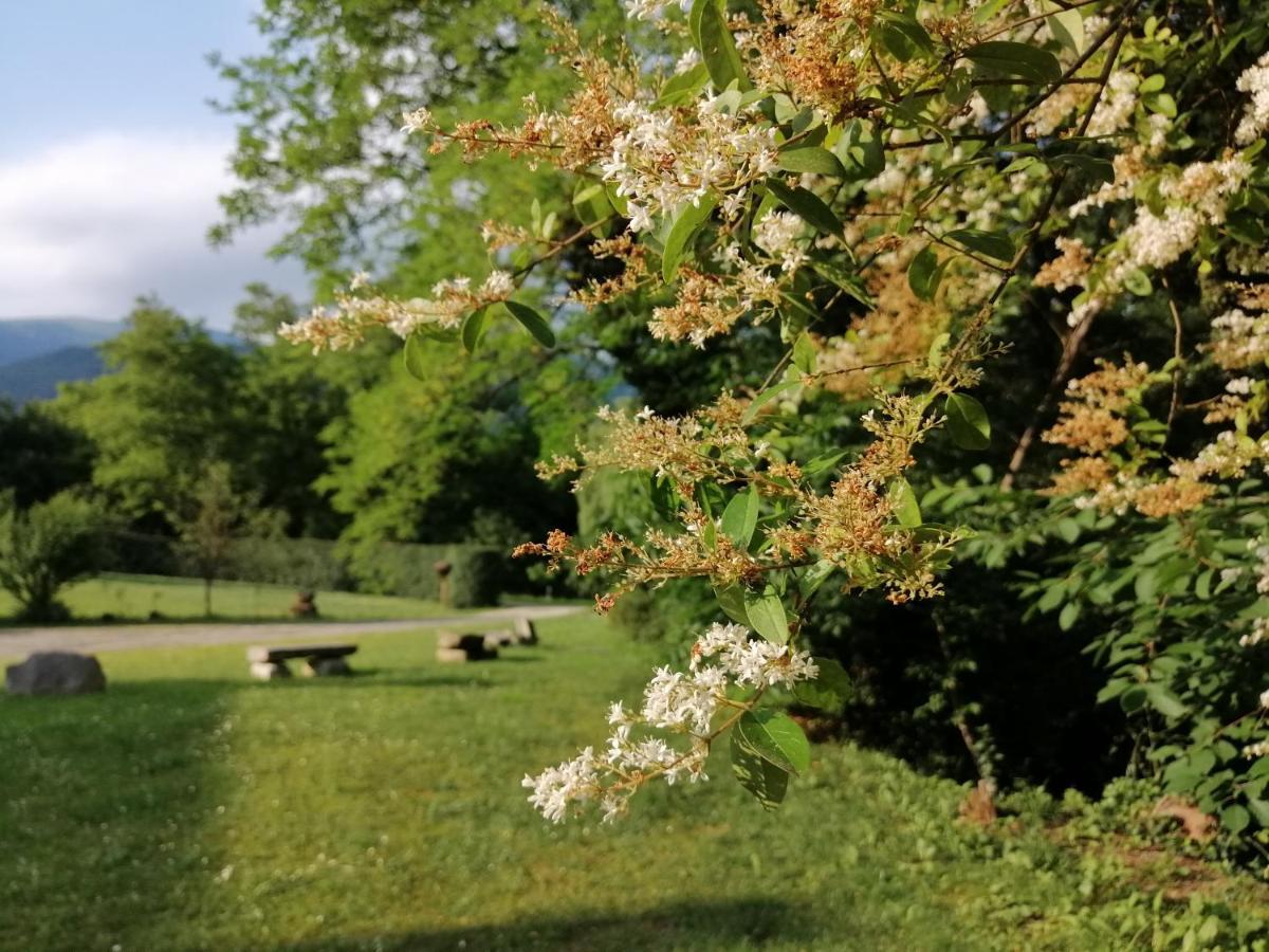 La Cordana Rooms Valdobbiadene Buitenkant foto